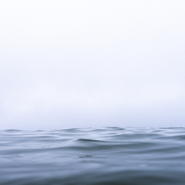 Plongé dans la brume